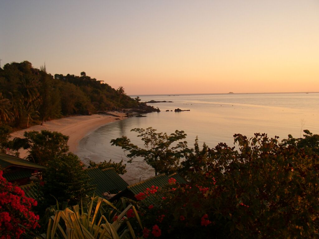 Click to See Next Image